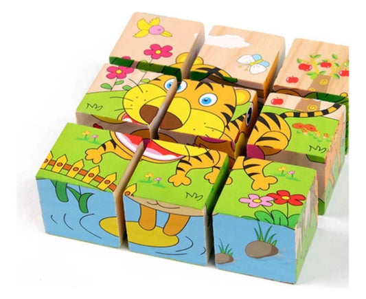 Puzzle Cubos 9 Piezas Madera 6 En 1